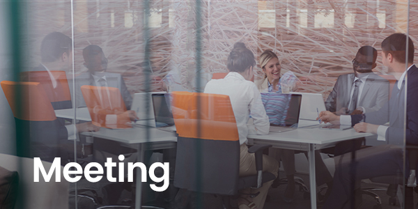 Meeting