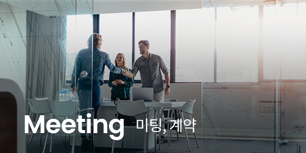 Meeting