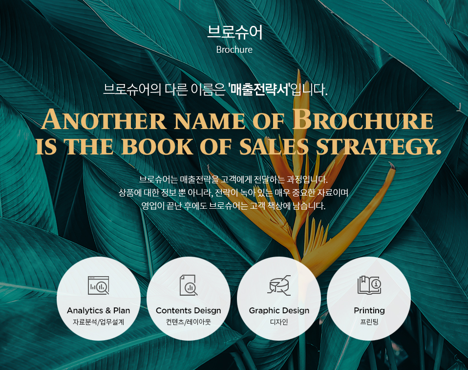 Brochure Design